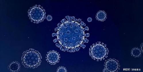 假如疫情一直繼續,世界會怎么樣呢 專家分析 大概會有三種結局