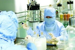 長生生物 是否已探底,散戶要怎么看后市