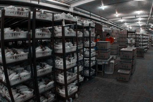 毫不放松抓防控 穩妥有序抓生產