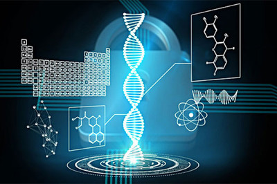 肥胖也會影響壽命,腰圍成重要因素?美學者發現壽命干預新物質