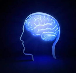 美國生物科技的發(fā)展動向 創(chuàng)新管理與軍事潛能 以darpa為例