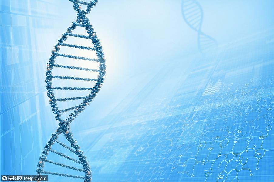 dna分子高科技dna分子的生物化學(xué)背景生物學(xué)科學(xué)