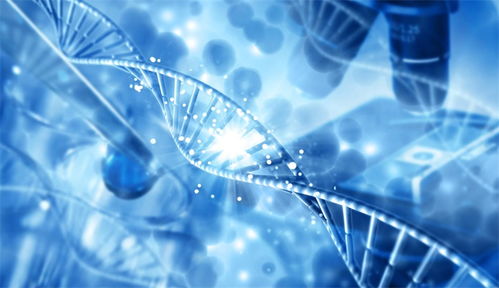 合成生物技術單點突破 推動透明質酸成本從幾萬元降至幾百元每公斤