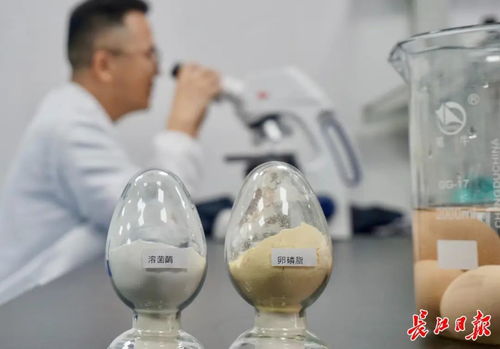 這家企業讓雞蛋身價提升千倍