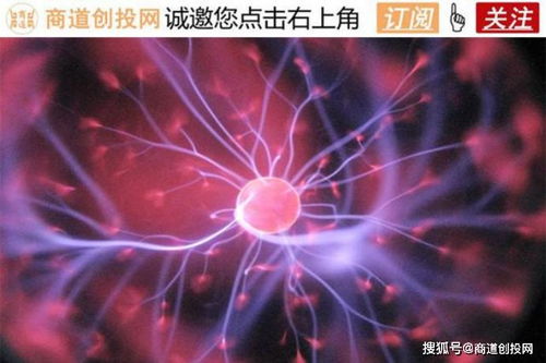 君賽生物獲千萬Pre-A輪融資，加速新型實體瘤細胞療法研發