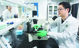 大慶高新區(qū)生物科技產(chǎn)業(yè)園 引領(lǐng)區(qū)域產(chǎn)業(yè)轉(zhuǎn)型升級(jí)新引擎