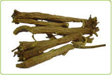 上海沐川生物科技 植物提取物產品概覽與創(chuàng)新應用